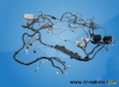 automobile body harness assy