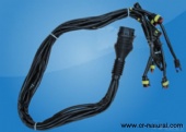 auto engine wire harness