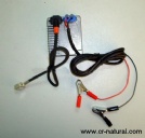car head lamp wire harness